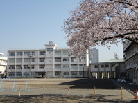 周辺環境 【小学校】静岡市立新通小学校：690�u