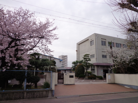 周辺環境 【小学校】富士市立広見小学校：230�u