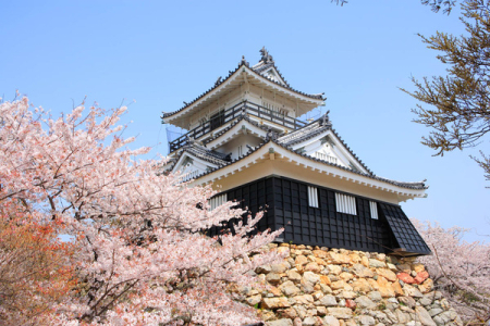  【公園】浜松城公園：980�u徳川三百年の歴史を刻む出世城を見学できる浜松城公園。桜や紅葉など、四季折々の姿を楽しめる人気観光スポット。