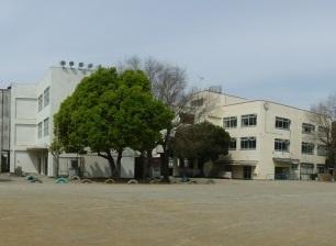 ӊ ywZzLsďwZF1446u