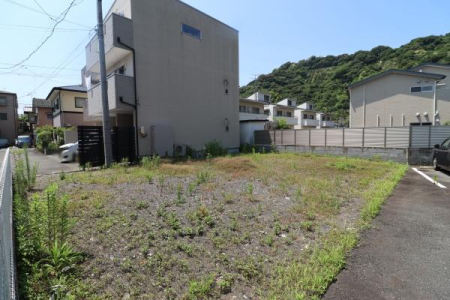 ���n�y�n�ʐ^ -