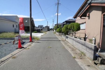 OʓH܂ތnʐ^ OʓH̗lq