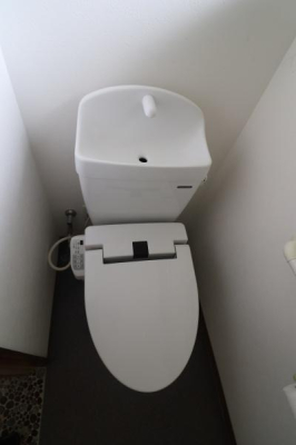gC -
