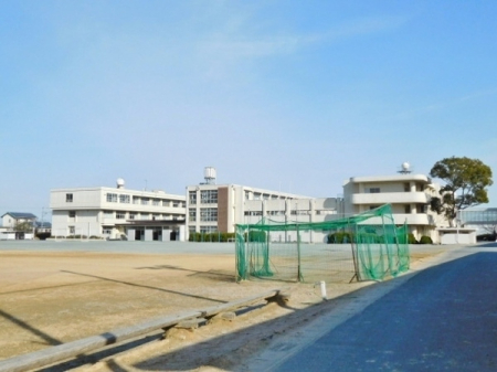 ӊ ywZzΐshÒwZF749u