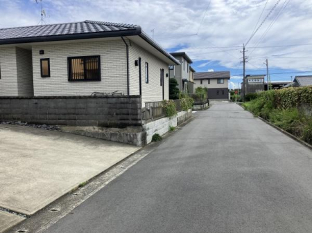 OʓH܂ތnʐ^ OʓH̗lqłB