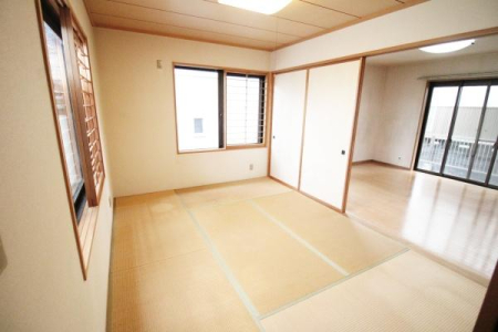 a ӊOƏꏊƂACA󕨂ނƂɂLXƎgƂłAlXȗprłgp܂