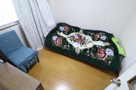 ���̑����� -