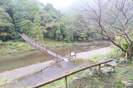 Z˂̒]ʐ^ k͐삪Â炬Ⓓ̂肪܂