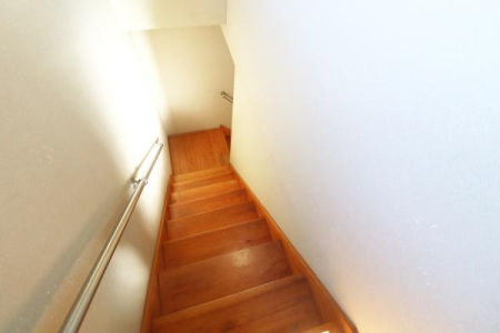 ���̑����� -