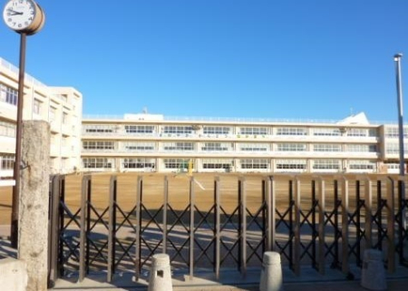 ӊ ywZzls㏬wZF1148u