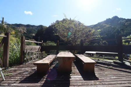 oRj[ ɓȂ玩R̒ŃtbVĂ܂B
X̖ZYԂł