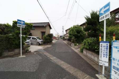 OʓH܂ތnʐ^ 猩H̗lq