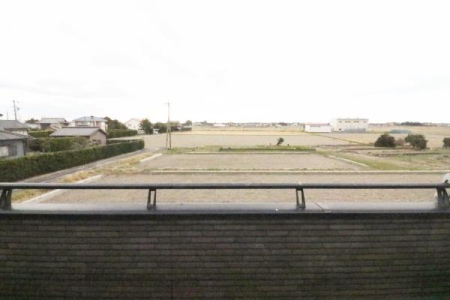 Z˂̒]ʐ^ oRj[Beӂ̗lq