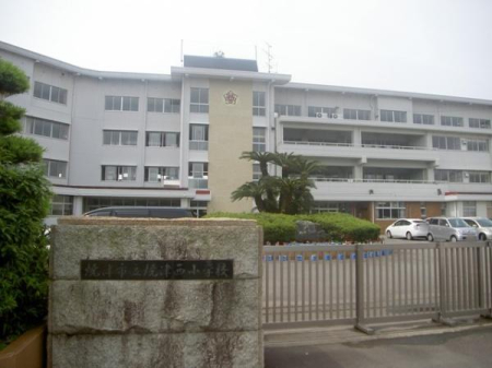 ӊ ywZzĒÎsĒÐwZF790u