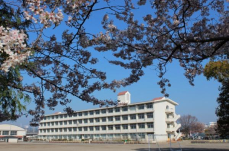 ӊ ywZz}swZF560u