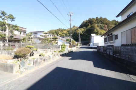 OʓH܂ތnʐ^ ̓H̗lq