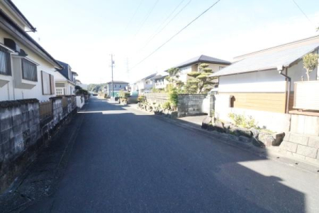 OʓH܂ތnʐ^ ̓H̗lq