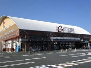 ���ӊ� �y�X�[�p�[�z���S�X�g�A�V���X�F828�u