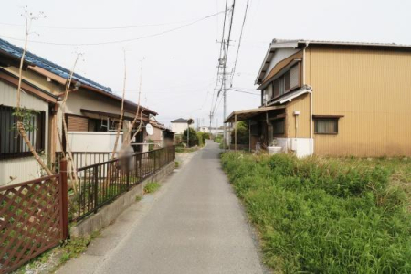 OʓH܂ތnʐ^ kH𐼑猩lq