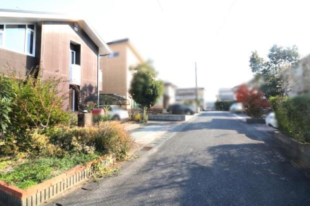 OʓH܂ތnʐ^ OʓH̗lqłB