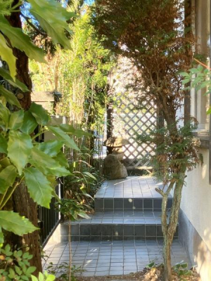 ̑n ԏꑤ猩ւ܂ł̊Ki