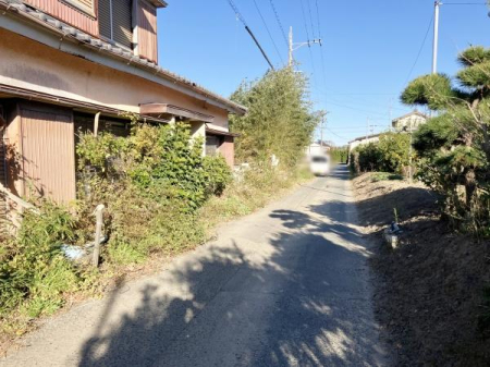 OʓH܂ތnʐ^ OʓH̗lqłB