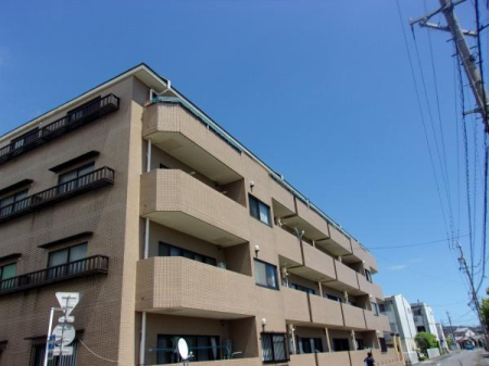 ���̑����n -