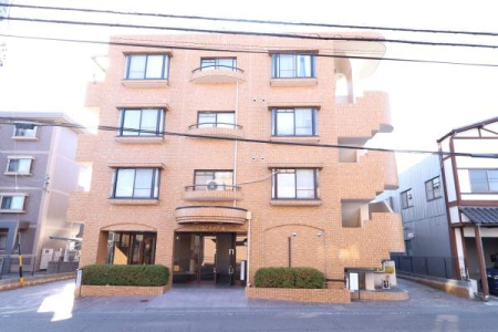 ���̑����n ���ʂ���̊O��