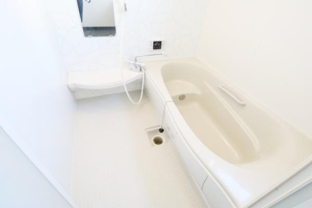 ���� ���j�b�g�o�X�̗l�q