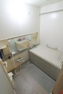 ���� �����̗l�q