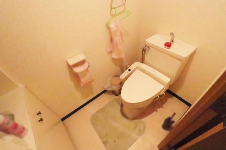 �g�C�� �g�C���̗l�q