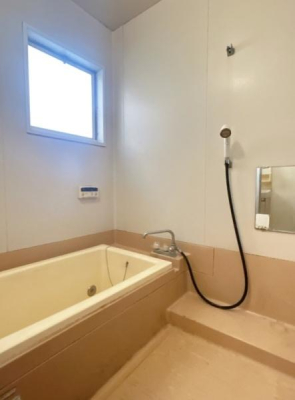 ���� �����̗l�q