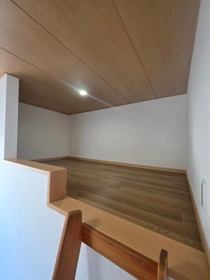 �m�� ���t�g�����̗l�q��