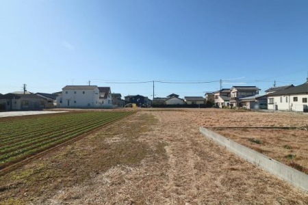 ���̑����n �o������̗l�q�B������3��