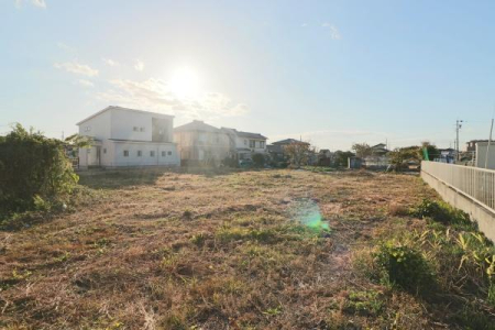 ���n�y�n�ʐ^ -