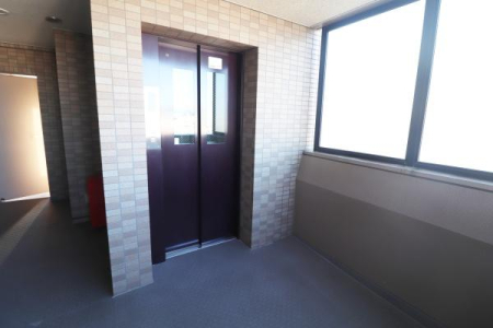 ���̑����p�� -