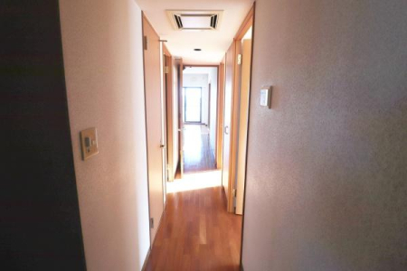 ���̑����� -