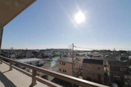 �Z�˂���̒��]�ʐ^ -