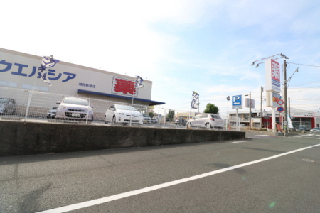 ���ӊ� �y�h���b�O�X�g�A�z�E�G���V�A�ΐ��V���X�F795�u