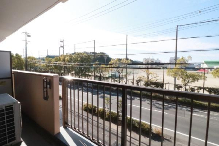 �o���R�j�[ �o���R�j�[�̗l�q