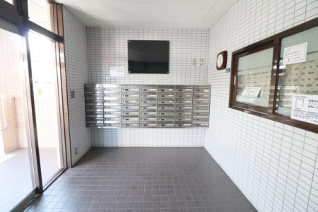 �G���g�����X �G���g�����X�̗l�q