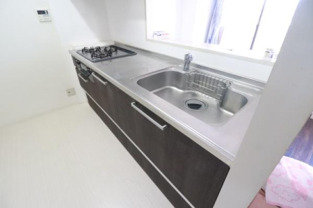 �L�b�`�� �Ζʎ��L�b�`���̗l�q