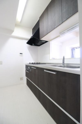 �L�b�`�� ���[�L�x�ȃV�X�e���L�b�`���̗l�q