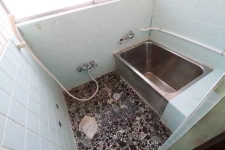 ���� �����̗l�q