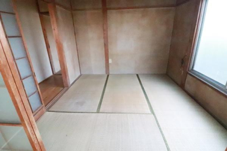 �a�� �a��4.5���̗l�q