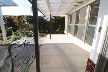 ���̑����n �x�����_�̗l�q