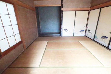 �a�� �a��8���̗l�q