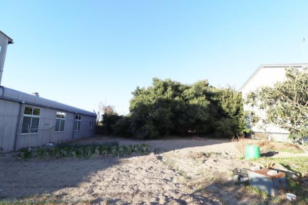 ���n�y�n�ʐ^ -