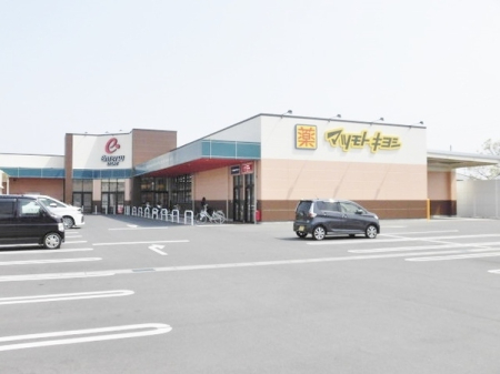 ���ӊ� �y�h���b�O�X�g�A�z�}�c���g�L���V�V���X�F773�u