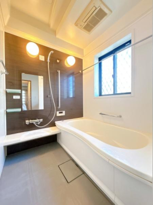 ���� �����̓v���N���[�j���O���s���\��ł��B
��؃T�C�Y�̗����ŁA����L�΂��ē��D�ɐZ�����Ē����܂��B